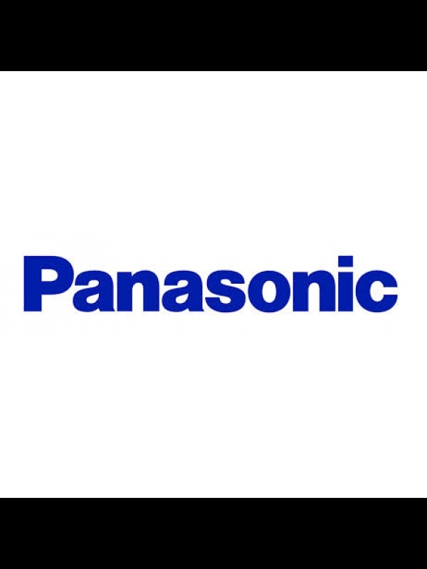 Panasonic